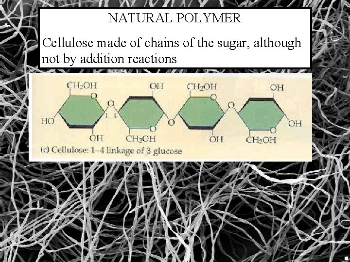NATURAL POLYMER Cellulose made of chains of the sugar, although not by addition reactions