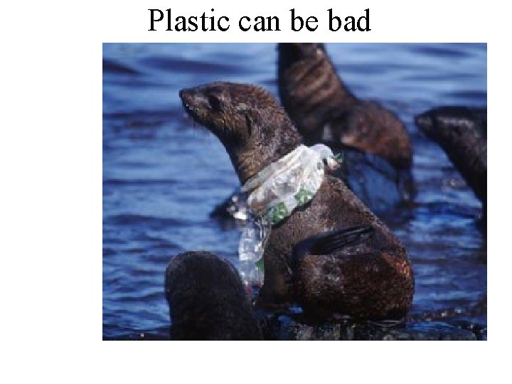 Plastic can be bad 