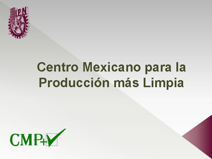 Centro Mexicano para la Producción más Limpia 