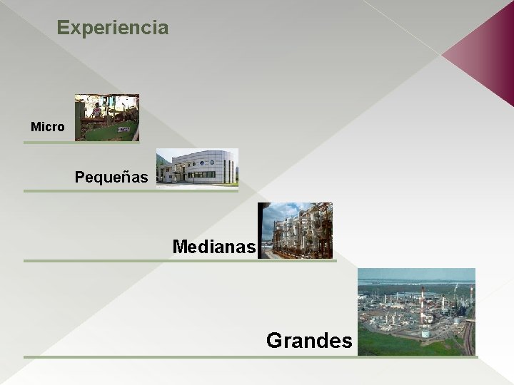 Experiencia Micro Pequeñas Medianas Grandes 