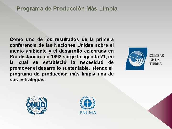 Programa de Producción Más Limpia Como uno de los resultados de la primera conferencia