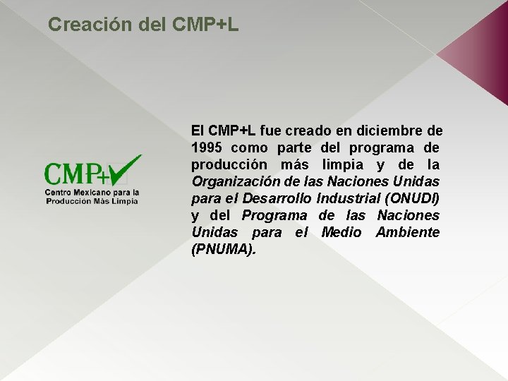 Creación del CMP+L El CMP+L fue creado en diciembre de 1995 como parte del