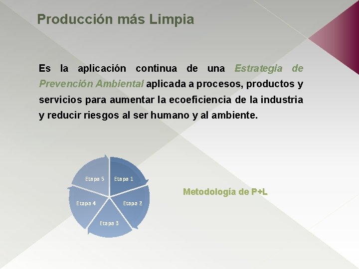 Producción más Limpia Es la aplicación continua de una Estrategia de Prevención Ambiental aplicada