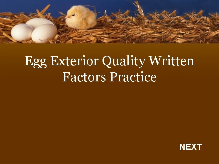 Egg Exterior Quality Written Factors Practice NEXT 