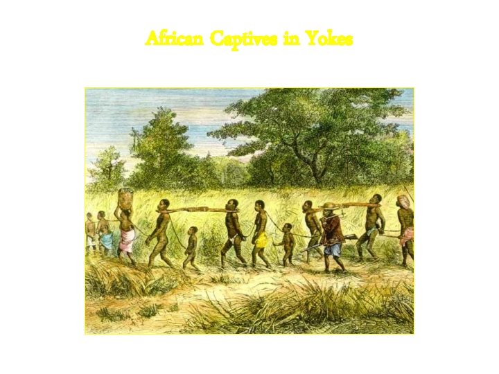 African Captives in Yokes 