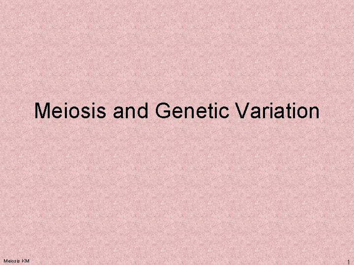 Meiosis and Genetic Variation Meiosis KM 1 