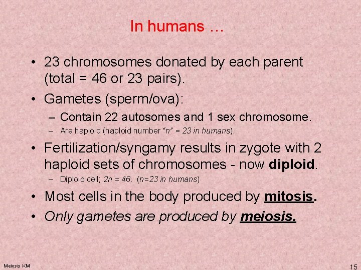 In humans … • 23 chromosomes donated by each parent (total = 46 or In humans … • 23 chromosomes donated by each parent (total = 46 or