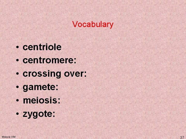 Vocabulary • • • Meiosis KM centriole centromere: crossing over: gamete: meiosis: zygote: 37