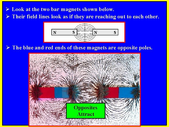 Ø Look at the two bar magnets shown below. Ø Their field lines look