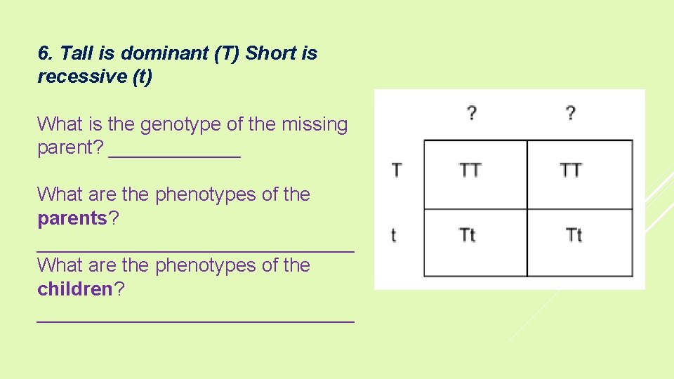 6. Tall is dominant (T) Short is recessive (t) What is the genotype of