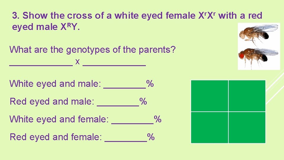 3. Show the cross of a white eyed female Xr. Xr with a red