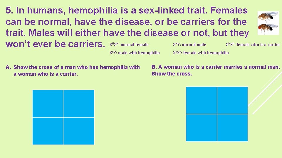 5. In humans, hemophilia is a sex-linked trait. Females can be normal, have the