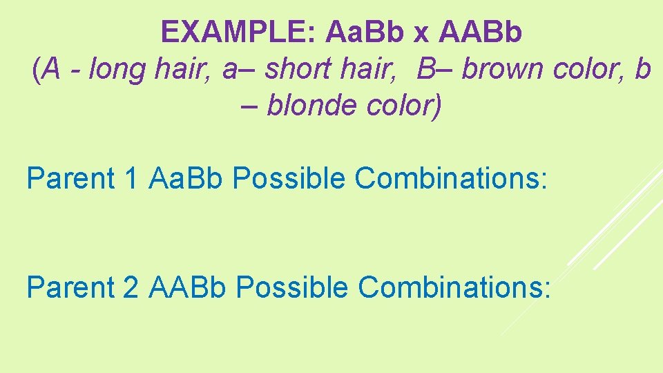 EXAMPLE: Aa. Bb x AABb (A - long hair, a– short hair, B– brown