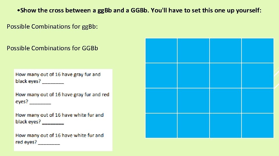  • Show the cross between a gg. Bb and a GGBb. You'll have