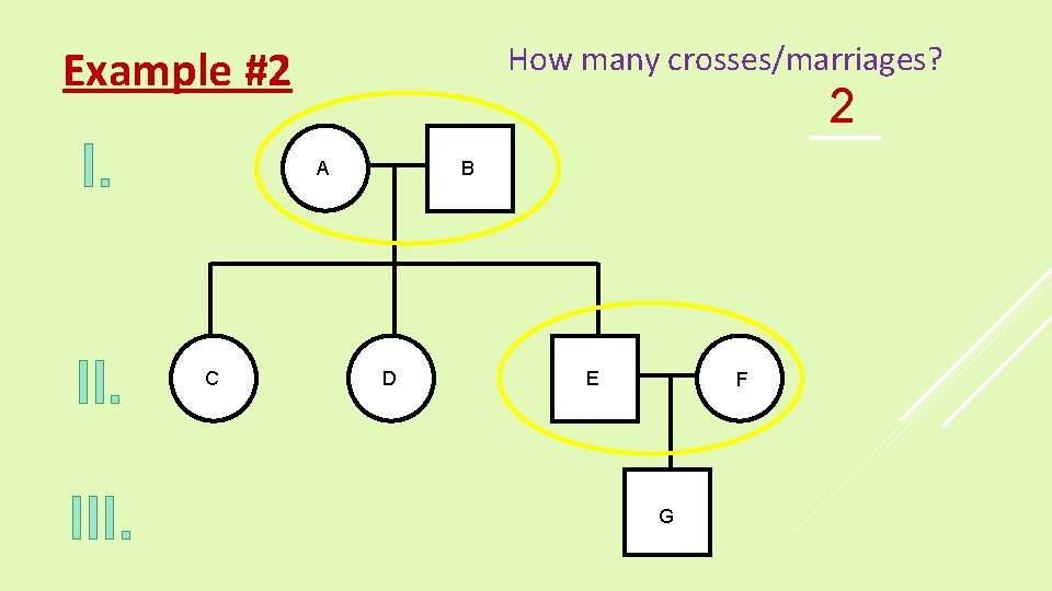 How many crosses/marriages? Example #2 I. II. III. 2 A C B D E