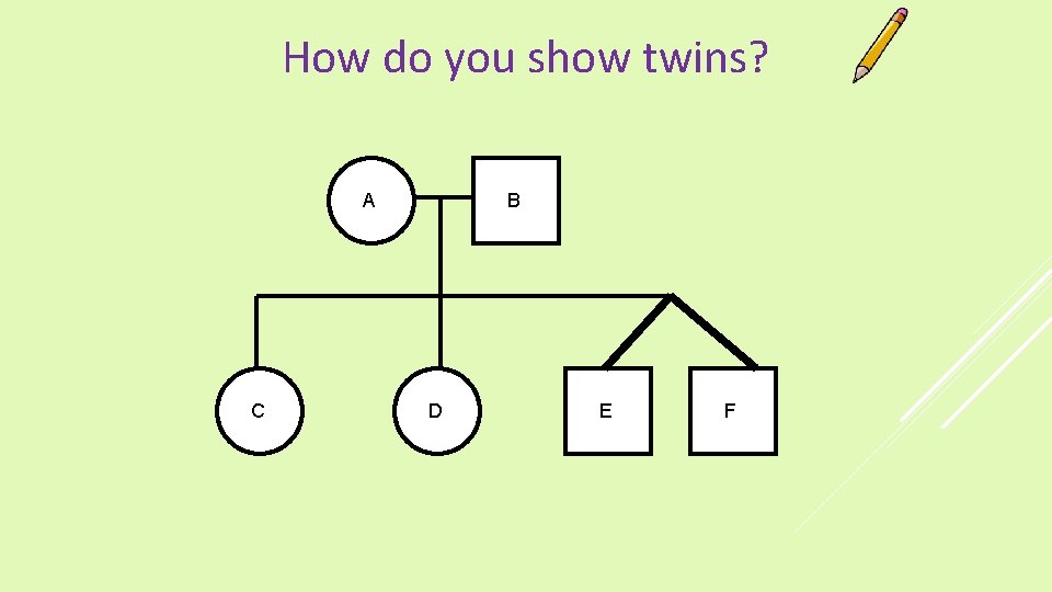 How do you show twins? A C B D E F 