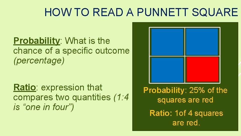 HOW TO READ A PUNNETT SQUARE Probability: What is the chance of a specific