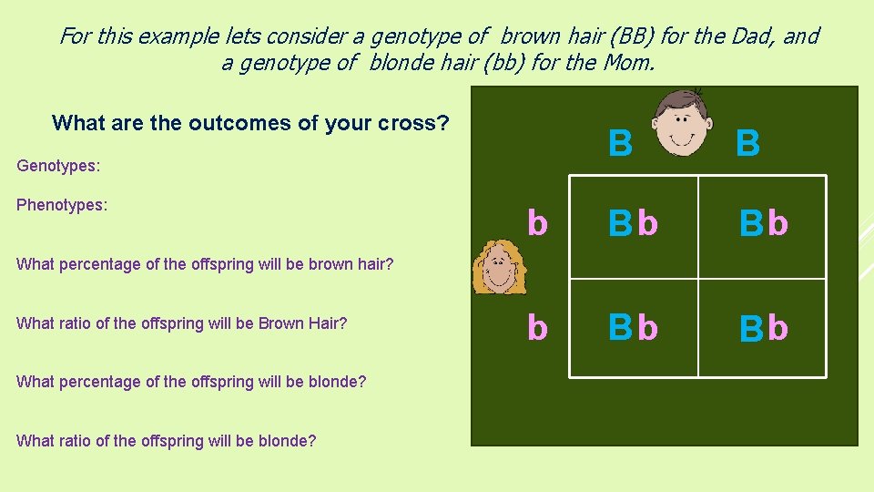 For this example lets consider a genotype of brown hair (BB) for the Dad,