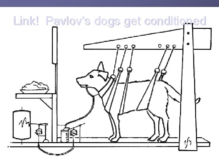 Link! Pavlov’s dogs get conditioned What if we 