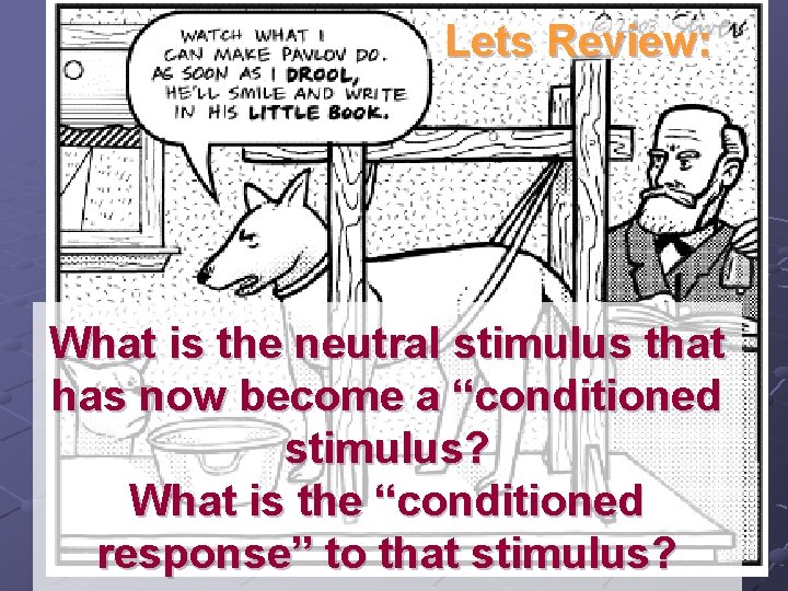 Lets Review: What is the neutral stimulus that has now become a “conditioned stimulus?