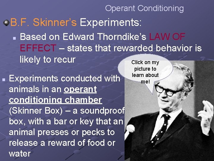 Operant Conditioning B. F. Skinner’s Experiments: n n Based on Edward Thorndike’s LAW OF