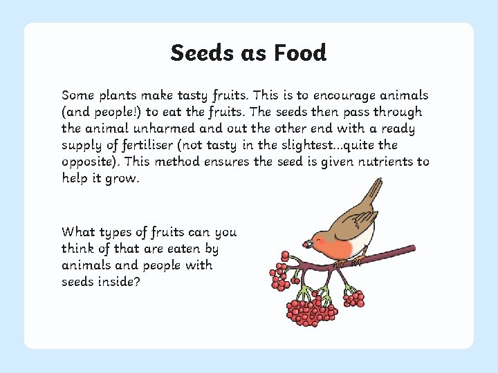 Seeds as Food Some plants make tasty fruits. This is to encourage animals (and