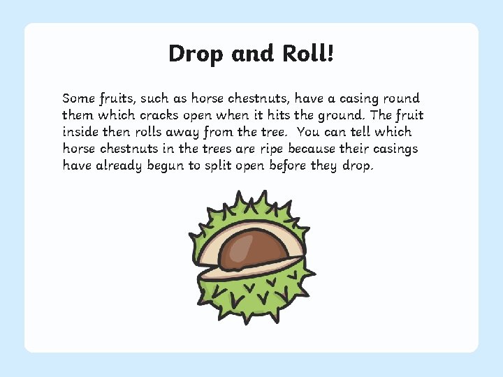 Drop and Roll! Some fruits, such as horse chestnuts, have a casing round them