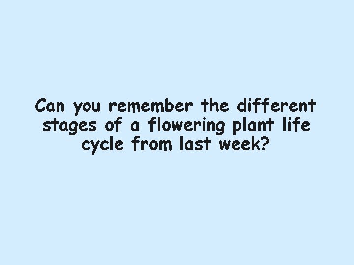 Can you remember the different stages of a flowering plant life cycle from last