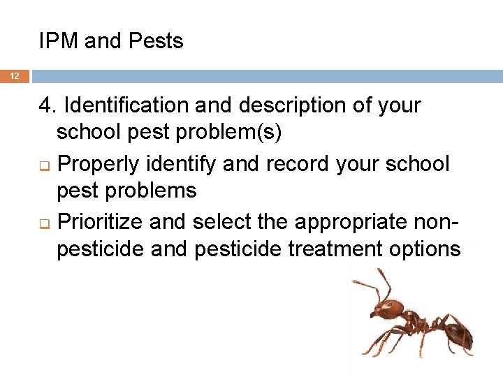 IPM and Pests 12 4. Identification and description of your school pest problem(s) q