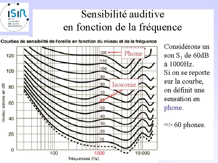 Sensibilité auditive en fonction de la fréquence Phone Isosonie Considérons un son S 1