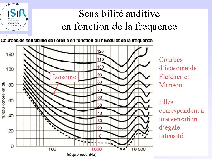 Sensibilité auditive en fonction de la fréquence Isosonie Courbes d’isosonie de Fletcher et Munson: