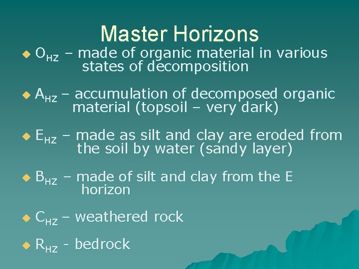 Master Horizons u OHZ – made of organic material in various states of decomposition