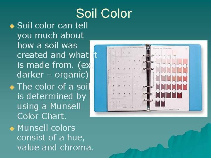 Soil Color Soil color can tell you much about how a soil was created