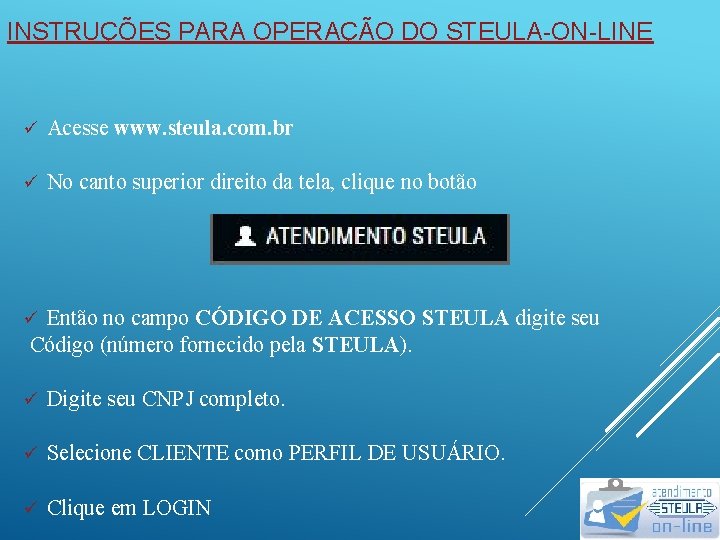 INSTRUÇÕES PARA OPERAÇÃO DO STEULA-ON-LINE ü Acesse www. steula. com. br ü No canto