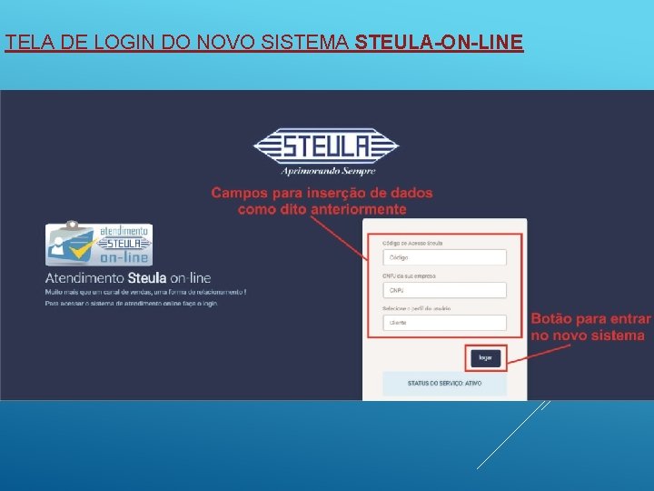 TELA DE LOGIN DO NOVO SISTEMA STEULA-ON-LINE 