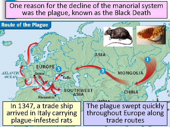 One reason for the decline of the manorial system was the plague, known as One reason for the decline of the manorial system was the plague, known as