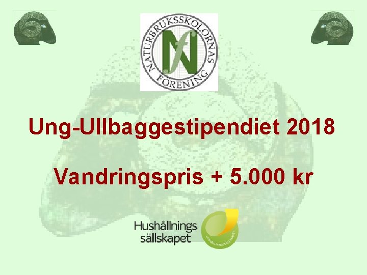 Ung-Ullbaggestipendiet 2018 Vandringspris + 5. 000 kr 