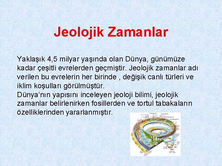 Jeolojik Zamanlar Yaklaşık 4, 5 milyar yaşında olan Dünya, günümüze kadar çeşitli evrelerden geçmiştir.