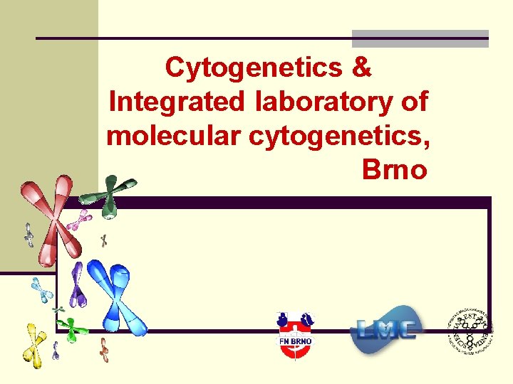 Cytogenetics & Integrated laboratory of molecular cytogenetics, Brno 