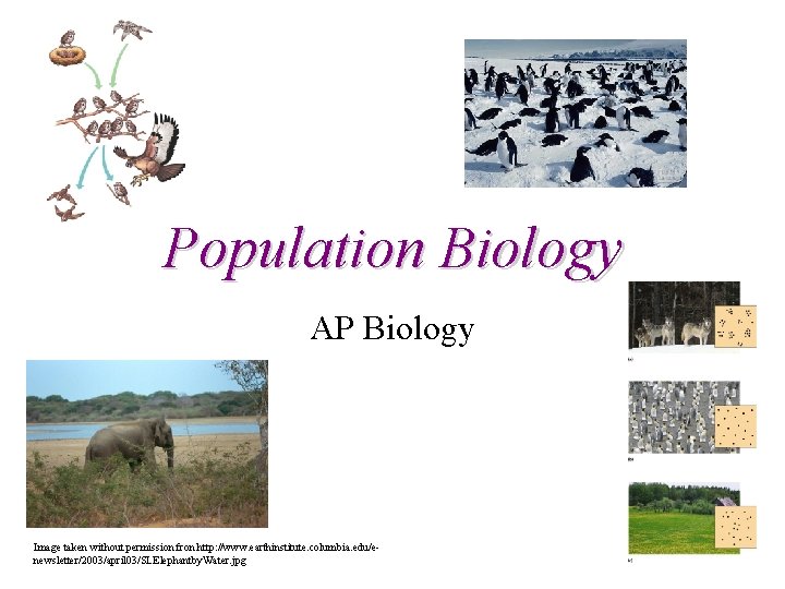 Population Biology AP Biology Image taken without permission fron http: //www. earthinstitute. columbia. edu/enewsletter/2003/april