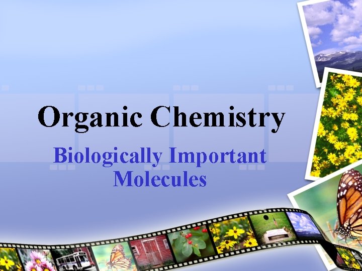 Organic Chemistry Biologically Important Molecules 