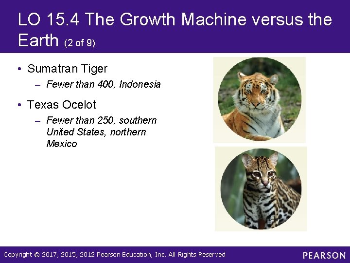 LO 15. 4 The Growth Machine versus the Earth (2 of 9) • Sumatran