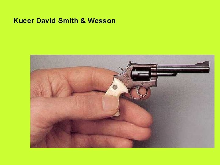 Kucer David Smith & Wesson 