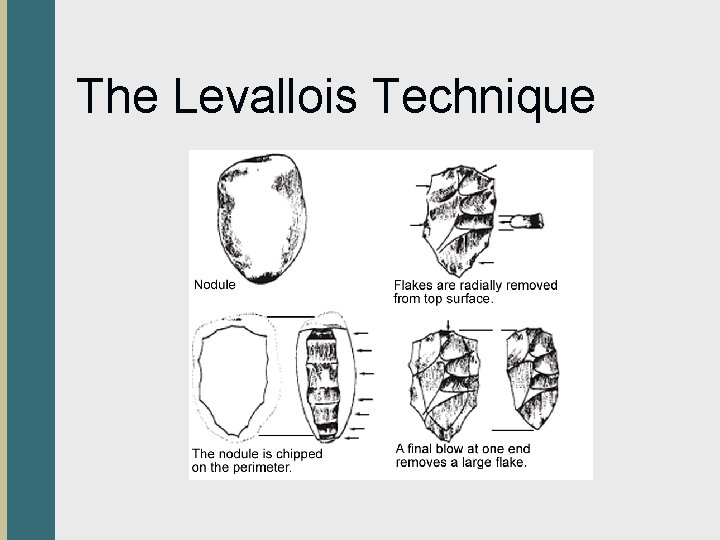 The Levallois Technique 