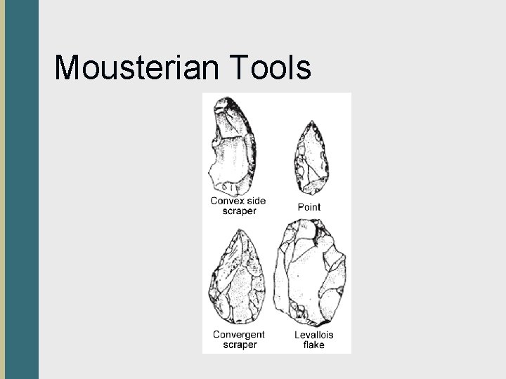 Mousterian Tools 
