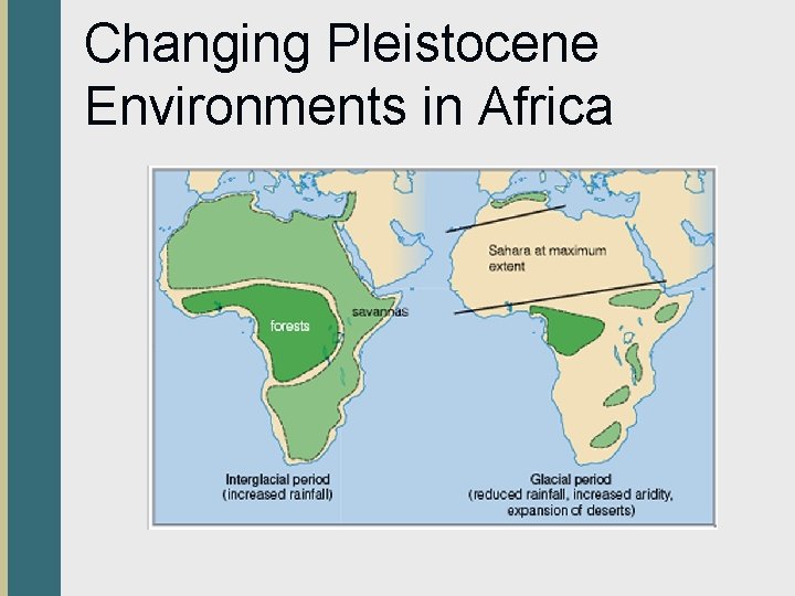 Changing Pleistocene Environments in Africa 