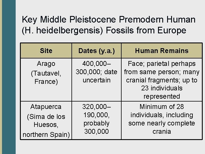 Key Middle Pleistocene Premodern Human (H. heidelbergensis) Fossils from Europe Site Arago (Tautavel, France)