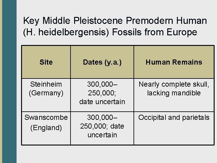 Key Middle Pleistocene Premodern Human (H. heidelbergensis) Fossils from Europe Site Dates (y. a.