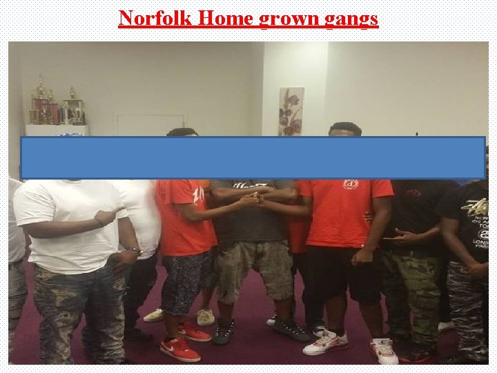 Norfolk Home grown gangs 