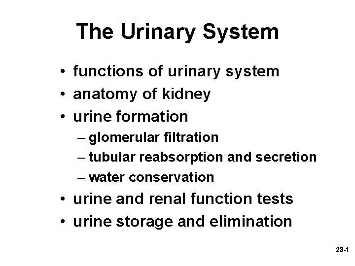 The Urinary System • functions of urinary system • anatomy of kidney • urine